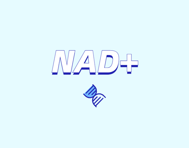 NAD與NMN的全新概念？
