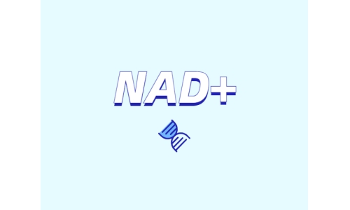 NAD+ 對身體有什么作用？如何獲取 NAD+？