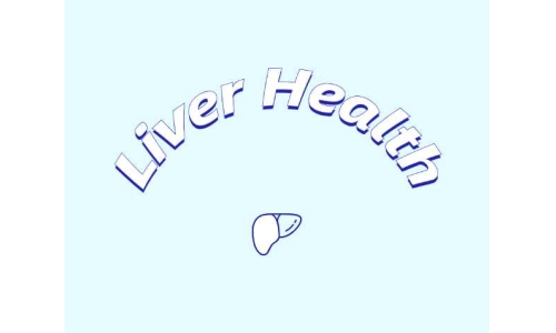 哪些原料可助力肝臟健康？