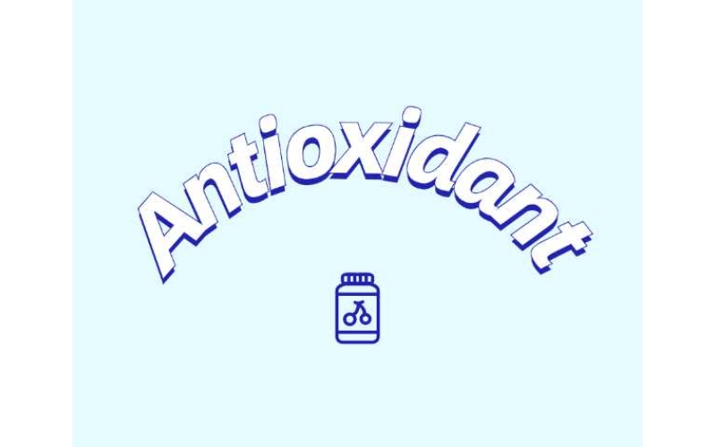 抗氧化劑與功能性食品如何守護健康？