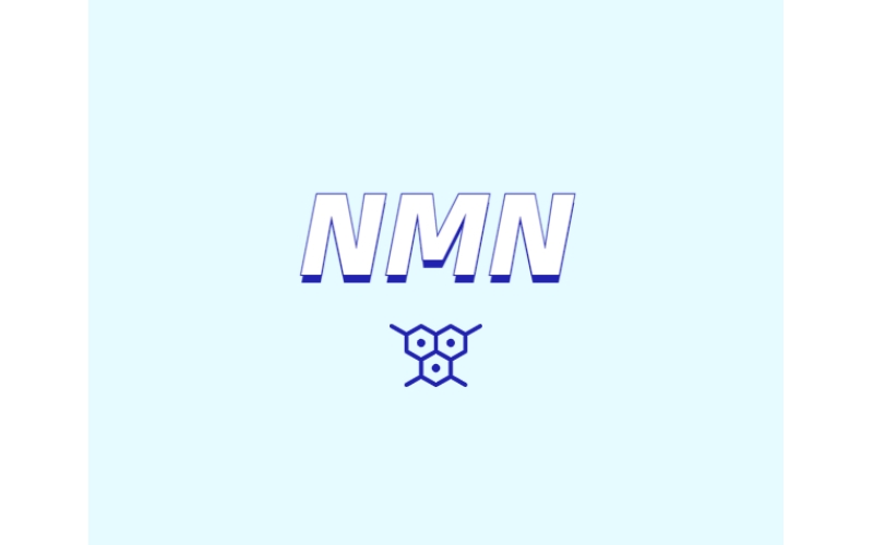 NMN對人體有什么潛在效果？